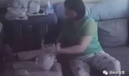 金牌月嫂爆料视频,育儿护理背后的真实故事